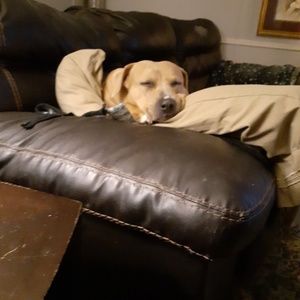 Meet your Posher, Jason